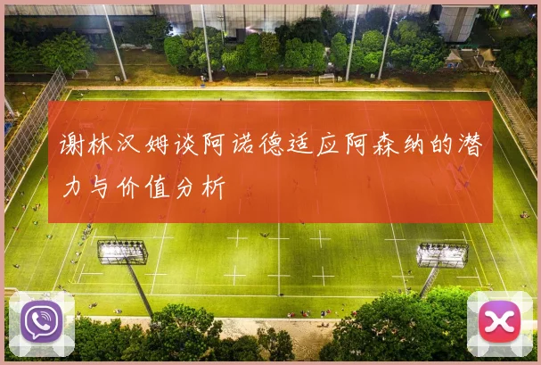 谢林汉姆谈阿诺德适应阿森纳的潜力与价值分析